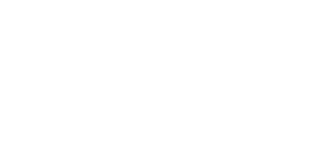 Stocktakes Online — Barcode Datalink