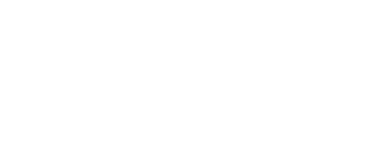 Stocktakes Online — Barcode Datalink